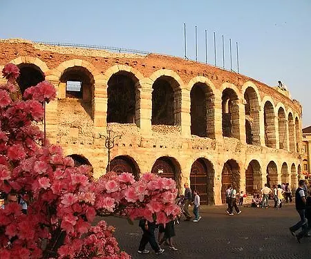 Chiara Arena